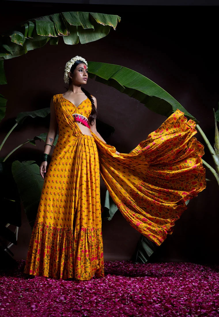 Drape Saree & Choli