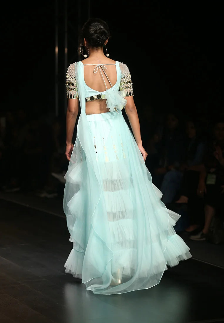 Lehenga and blouse set