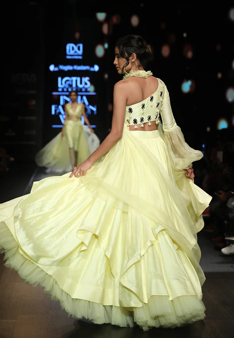 Lehenga and blouse set